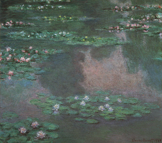 Waterlilies